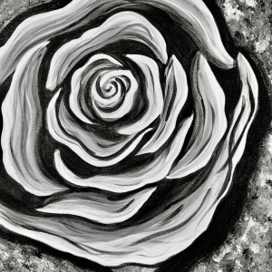 Black and white rose